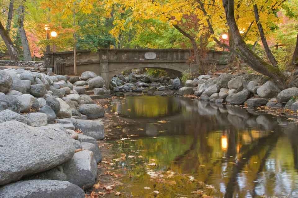 are dogs allowed in lithia park in ashland oregon