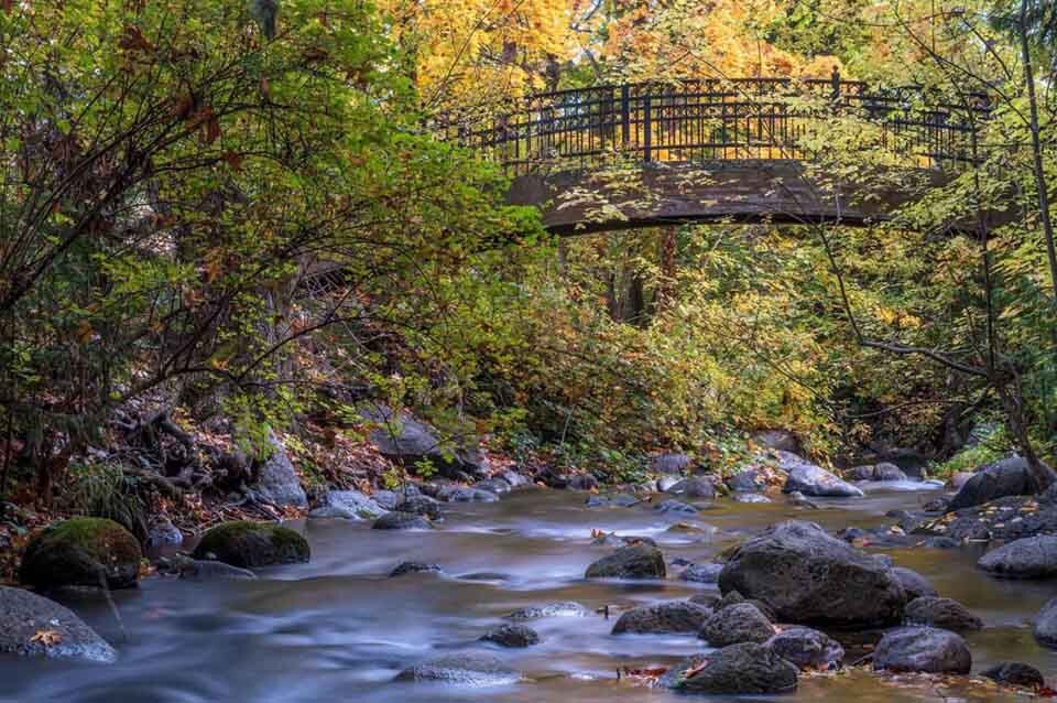 are dogs allowed in lithia park in ashland oregon