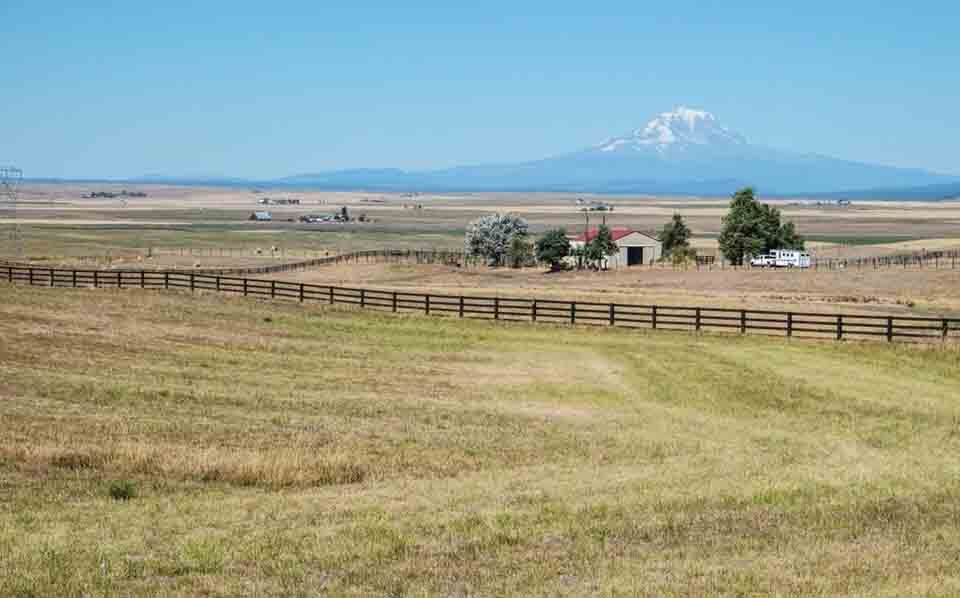 Oregon farmland - Mount Hood