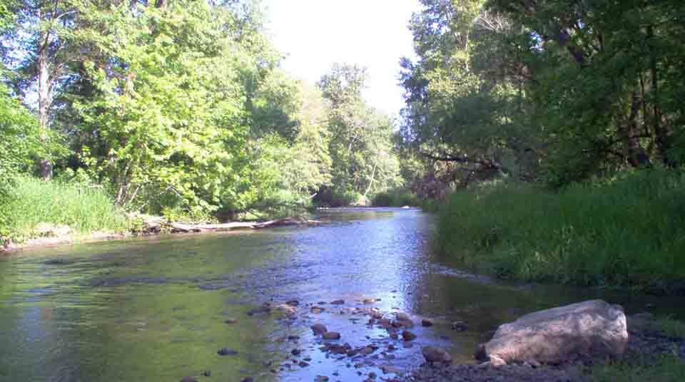 Bacterial Contamination of Bear Creek Watershed Impacts Four Oregon ...