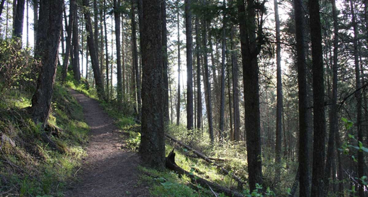 Catherine Creek State Park – City of Union, OR